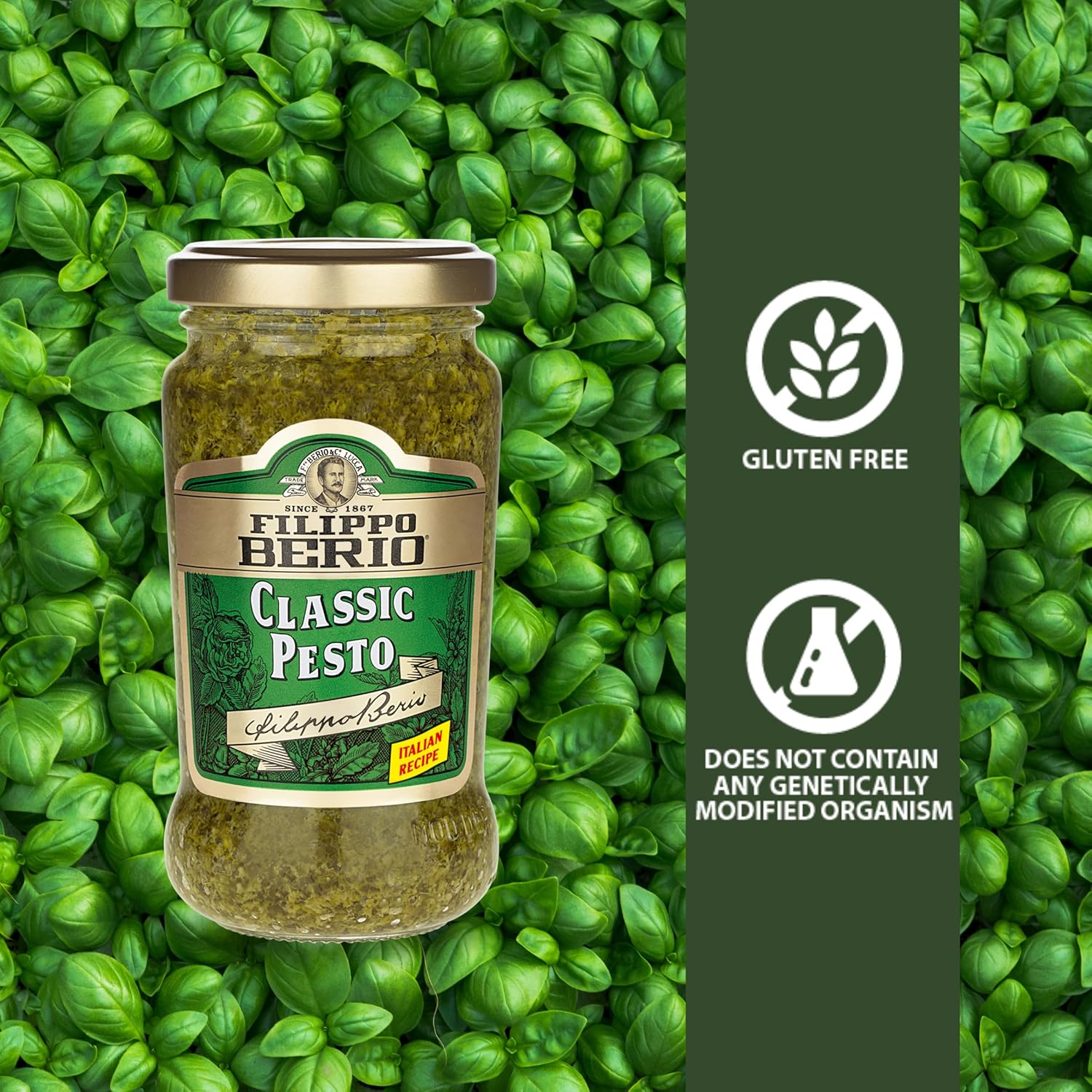 Filippo Berio Classic Pesto, 6.7 oz / 190 g,Green